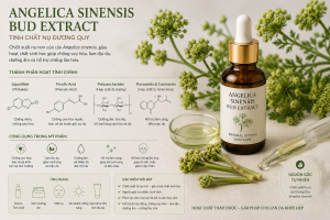 Angelica Sinensis Bud Extract La Hoat Chat Gi Cong Dung Trong Duoc My Pham