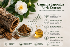 Camellia Japonica Bark Extract La Hoat Chat Gi Cong Dung Trong Duoc My Pham 1