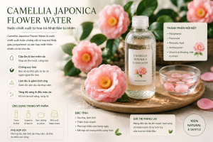 Camellia Japonica Flower Water La Hoat Chat Gi Cong Dung Trong Duoc My Pham