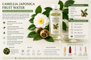 Camellia Japonica Fruit Water La Hoat Chat Gi Cong Dung Trong Duoc My Pham