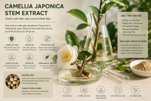 Camellia Japonica Stem Extract La Hoat Chat Gi Cong Dung Trong Duoc My Pham