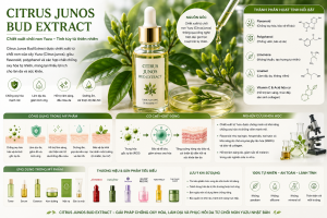 Citrus Junos Bud Extract La Hoat Chat Gi Cong Dung Trong Duoc My Pham