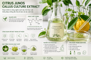 Citrus Junos Callus Culture Extract La Hoat Chat Gi Cong Dung Trong Duoc My Pham