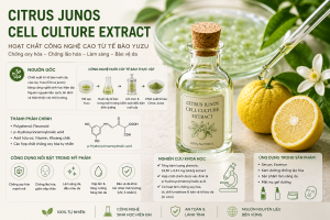 Citrus Junos Cell Culture Extract La Hoat Chat Gi Cong Dung Trong Duoc My Pham