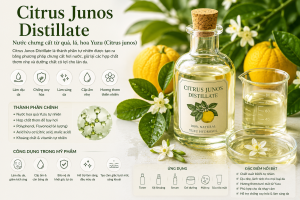 Citrus Junos Distillate La Hoat Chat Gi Cong Dung Trong Duoc My Pham