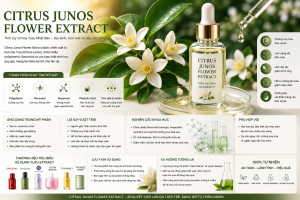 Citrus Junos Flower Extract La Hoat Chat Gi Cong Dung Trong Duoc My Pham