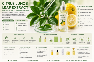 Citrus Junos Leaf Extract La Hoat Chat Gi Cong Dung Trong Duoc My Pham
