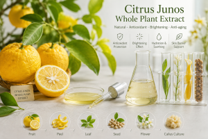 Citrus Junos Whole Plant Extract La Hoat Chat Gi Cong Dung Trong Duoc My Pham