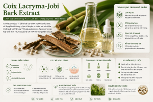 Coix Lacryma Jobi Bark Extract La Hoat Chat Gi Cong Dung Trong Duoc My Pham