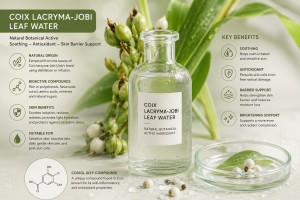 Coix Lacryma Jobi Leaf Water La Hoat Chat Gi Cong Dung Trong Duoc My Pham