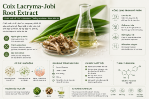 Coix Lacryma Jobi Root Extract La Hoat Chat Gi Cong Dung Trong Duoc My Pham