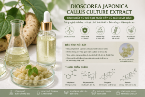 Dioscorea Japonica Callus Culture Extract La Hoat Chat Gi Cong Dung Trong Duoc My Pham