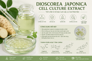 Dioscorea Japonica Cell Culture Extract La Hoat Chat Gi Cong Dung Trong Duoc My Pham