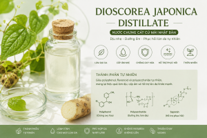 Dioscorea Japonica Distillate La Hoat Chat Gi Cong Dung Trong Duoc My Pham