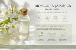 Dioscorea Japonica Flower Water La Hoat Chat Gi Cong Dung Trong Duoc My Pham
