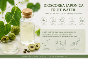 Dioscorea Japonica Fruit Water La Hoat Chat Gi Cong Dung Trong Duoc My Pham