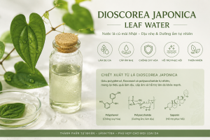 Dioscorea Japonica Leaf Water La Hoat Chat Gi Cong Dung Trong Duoc My Pham