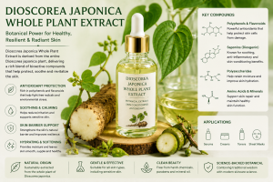 Dioscorea Japonica Whole Plant Extract La Hoat Chat Gi Cong Dung Trong Duoc My Pham