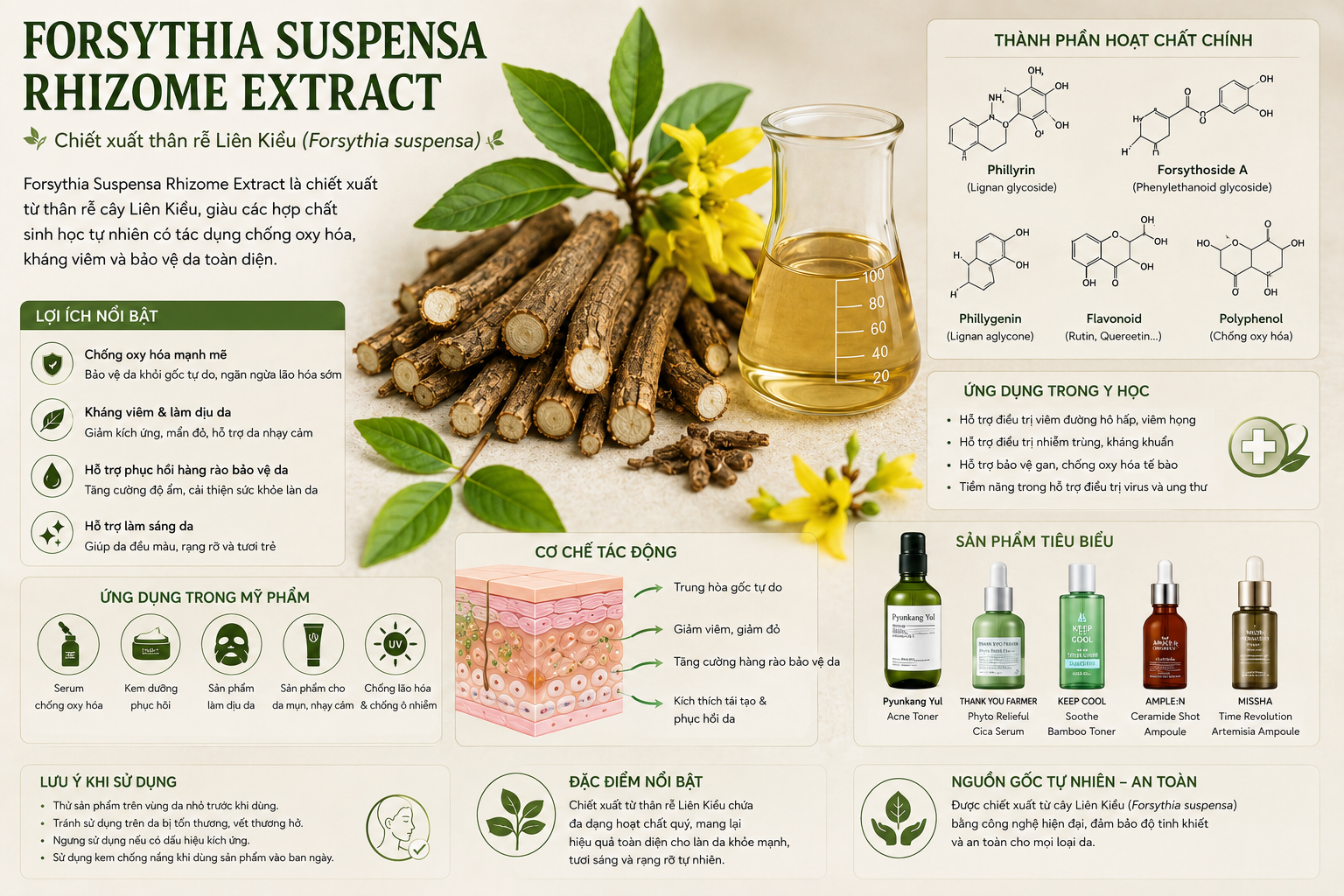 Forsythia Suspensa Rhizome Extract La Hoat Chat Gi Cong Dung Trong Duoc My Pham