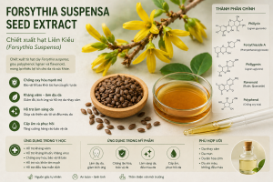 Forsythia Suspensa Seed Extract La Hoat Chat Gi Cong Dung Trong Duoc My Pham