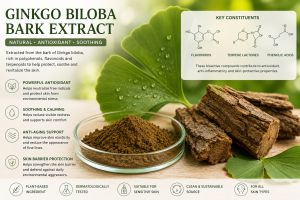 Ginkgo Biloba Bark Extract La Hoat Chat Gi Cong Dung Trong Duoc My Pham