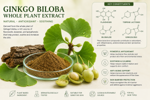 Ginkgo Biloba Whole Plant Extract La Hoat Chat Gi Cong Dung Trong Duoc My Pham