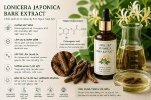 Lonicera Japonica Bark Extract La Hoat Chat Gi Cong Dung Trong Duoc My Pham