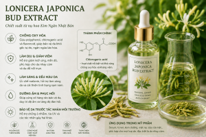 Lonicera Japonica Bud Extract La Hoat Chat Gi Cong Dung Trong Duoc My Pham