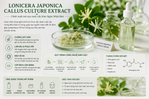 Lonicera Japonica Callus Culture Extract La Hoat Chat Gi Cong Dung Trong Duoc My Pham