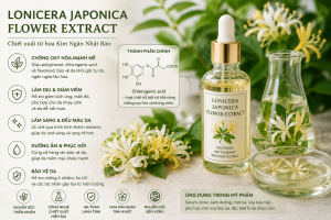 Lonicera Japonica Flower Extract La Hoat Chat Gi Cong Dung Trong Duoc My Pham