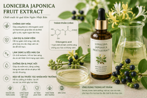 Lonicera Japonica Fruit Extract La Hoat Chat Gi Cong Dung Trong Duoc My Pham