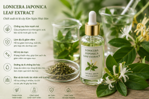 Lonicera Japonica Leaf Extract La Hoat Chat Gi Cong Dung Trong Duoc My Pham
