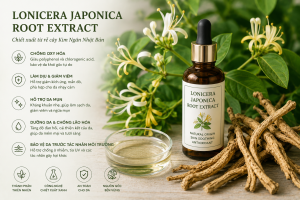 Lonicera Japonica Root Extract La Hoat Chat Gi Cong Dung Trong Duoc My Pham