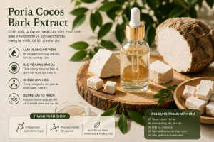 Poria Cocos Bark Extract La Hoat Chat Gi Cong Dung Trong Duoc My Pham
