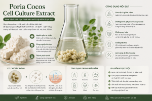 Poria Cocos Cell Culture Extract La Hoat Chat Gi Cong Dung Trong Duoc My Pham
