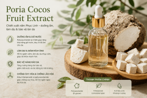 Poria Cocos Fruit Extract La Hoat Chat Gi Cong Dung Trong Duoc My Pham