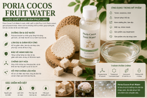 Poria Cocos Fruit Water La Hoat Chat Gi Cong Dung Trong Duoc My Pham
