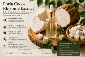 Poria Cocos Rhizome Extract La Hoat Chat Gi Cong Dung Trong Duoc My Pham