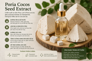 Poria Cocos Seed Extract La Hoat Chat Gi Cong Dung Trong Duoc My Pham