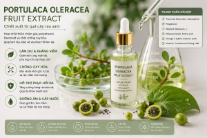 Portulaca Oleracea Fruit Extract La Hoat Chat Gi Cong Dung Trong Duoc My Pham