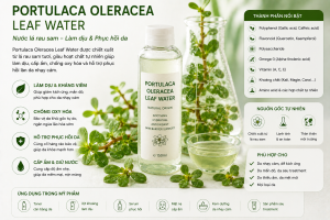 Portulaca Oleracea Leaf Water La Hoat Chat Gi Cong Dung Trong Duoc My Pham