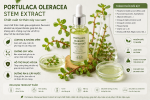 Portulaca Oleracea Stem Extract La Hoat Chat Gi Cong Dung Trong Duoc My Pham