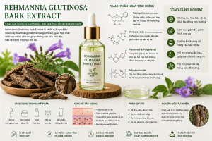 Rehmannia Glutinosa Bark Extract La Hoat Chat Gi Cong Dung Trong Duoc My Pham