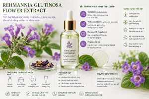 Rehmannia Glutinosa Flower Extract La Hoat Chat Gi Cong Dung Trong Duoc My Pham