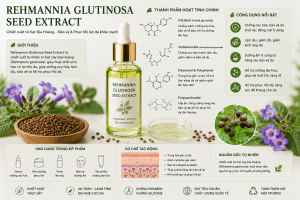 Rehmannia Glutinosa Seed Extract La Hoat Chat Gi Cong Dung Trong Duoc My Pham