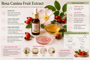 Rosa Canina Fruit Extract La Hoat Chat Gi Cong Dung Trong Duoc My Pham