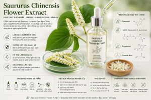 Saururus Chinensis Flower Extract La Hoat Chat Gi Cong Dung Trong Duoc My Pham