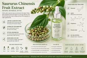Saururus Chinensis Fruit Extract La Hoat Chat Gi Cong Dung Trong Duoc My Pham