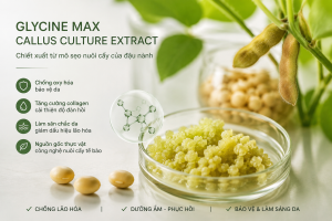 glycine max callus culture extract la hoat chat gi cong dung trong duoc my pham