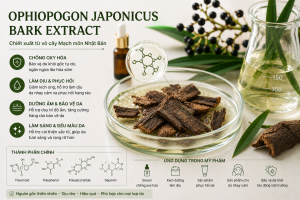 ophiopogon japonicus bark extract la hoat chat gi cong dung trong duoc my pham
